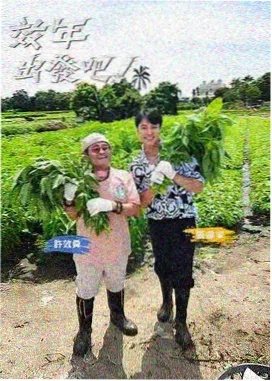 轻食备餐计划轻娱乐贴纸封面